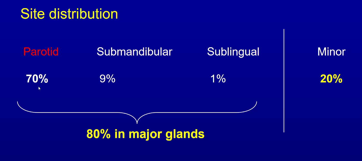<p>parotid - 70% ish</p>