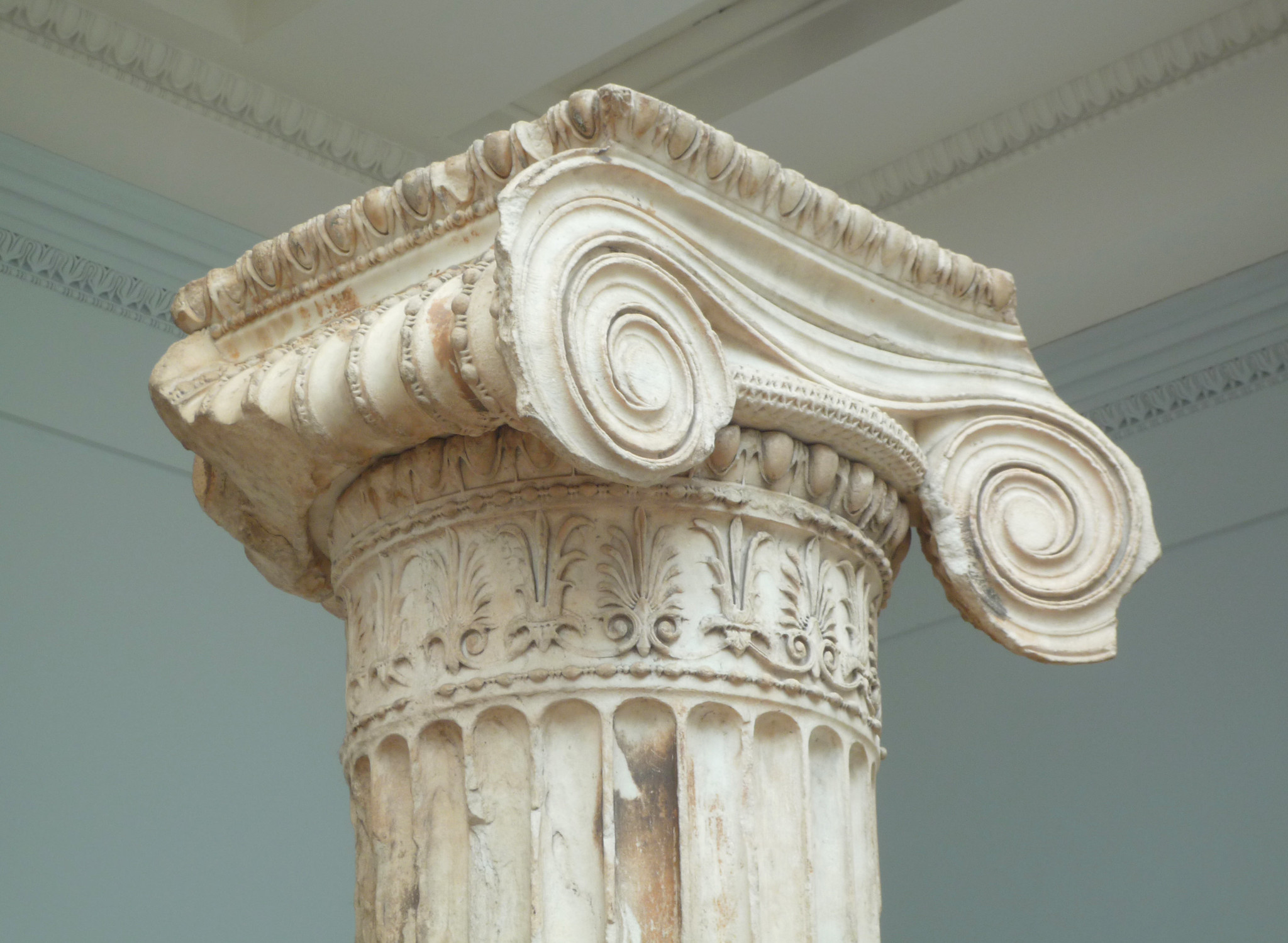 <p>Spiral/Eye like volute</p>