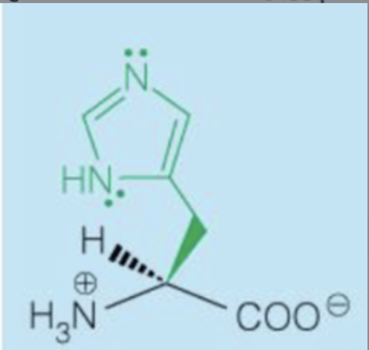 <p>Polar basic, positive charge</p>