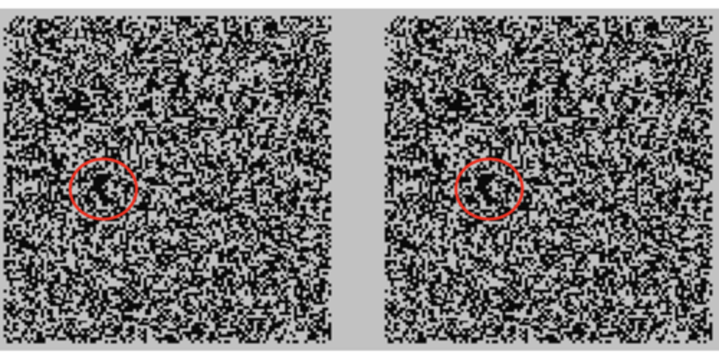 <p>-each dot randomly assigned a colour eg black + white</p><p>-then take little bit of pattern and move it to make a new pattern</p><p>-if how you the new pattern and the old pattern, and you look at them as two stationary patterns side by side, you have no idea which bit I moved. -too many dots to keep track</p><p>-but if show you one after the other quickly you clealry see the area move</p><p>-shows you didn't track each dot and where gone the movement simply happens</p><p>-stimulates motion derectors</p>