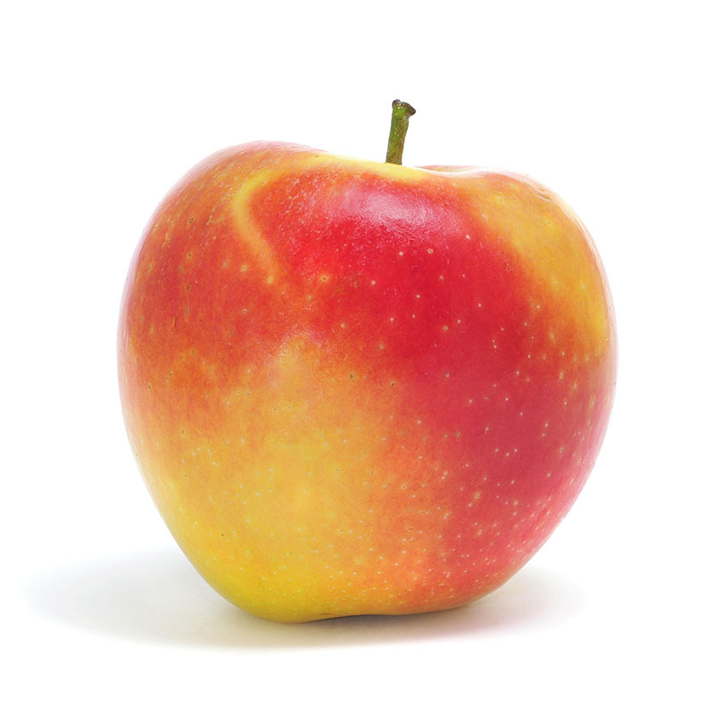 <p>Apples, Ambrosa</p>
