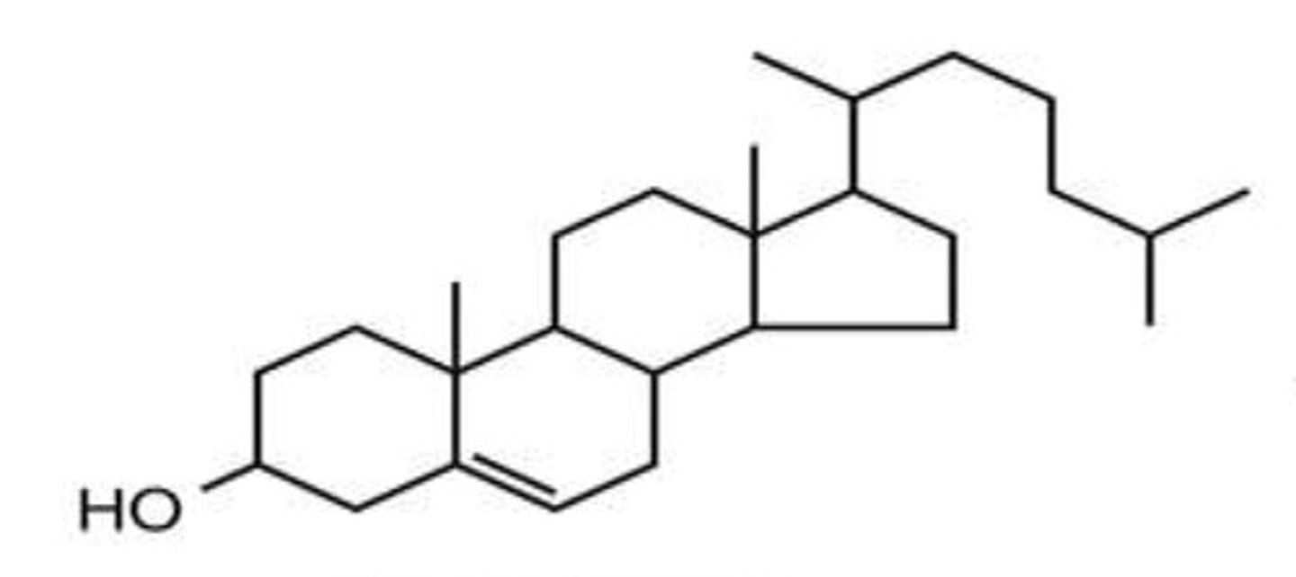 <p>What is this structure</p>