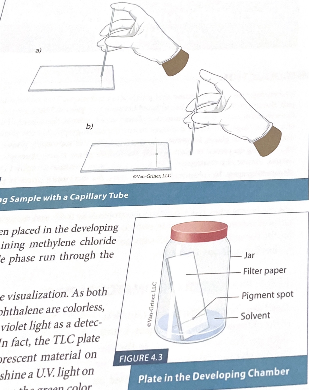 <p>Separating pigments using polarity with cohesion. </p>
