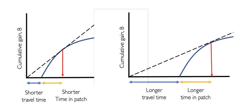 <p>the optimal load size <strong>increases</strong> with travel time</p>