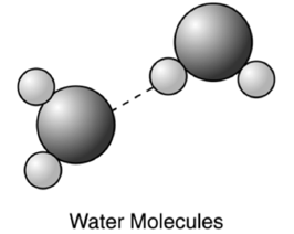 <p><span><span>The bond represented by the dashed line BETWEEN the water molecules in the diagram below&nbsp;is called</span></span></p>