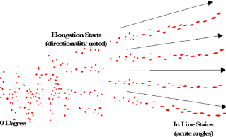 <p>A bloodstain pattern created when blood is released or thrown from a blood-bearing object in motion</p>