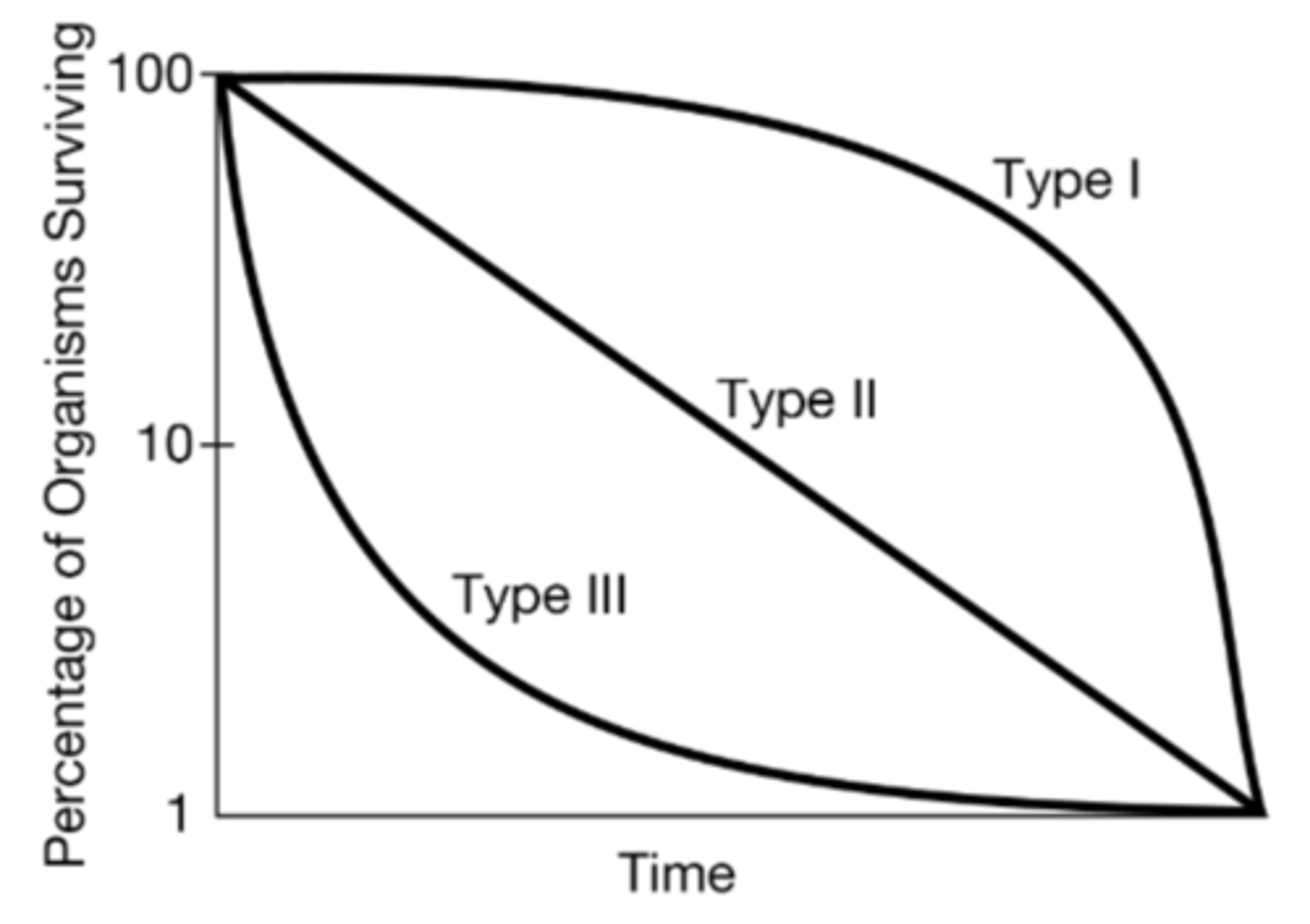 <p>K-strategists with a Type I survivorship curve.</p>