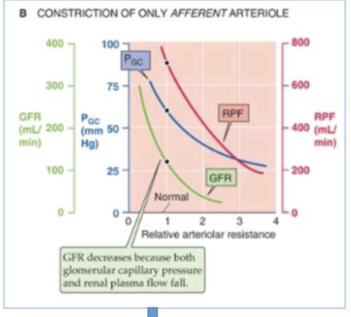 <p>decreases ==&gt; less blood entering glom, so less hydrostatic pressure</p>