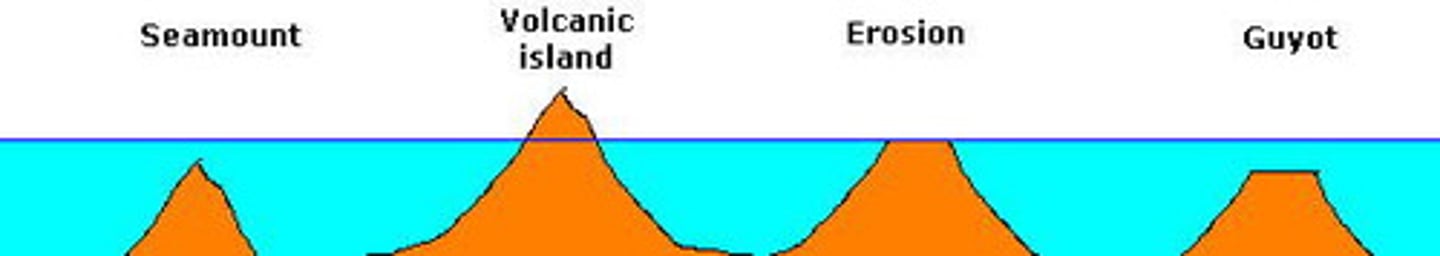 <p>an underwater volcano</p>
