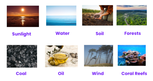 <p>(n.) <em>something that a country, person, or organization has that they can use</em></p><p>“Natural _______s in Japan include water and forests. However, Japan doesn’t have much oil.”</p>