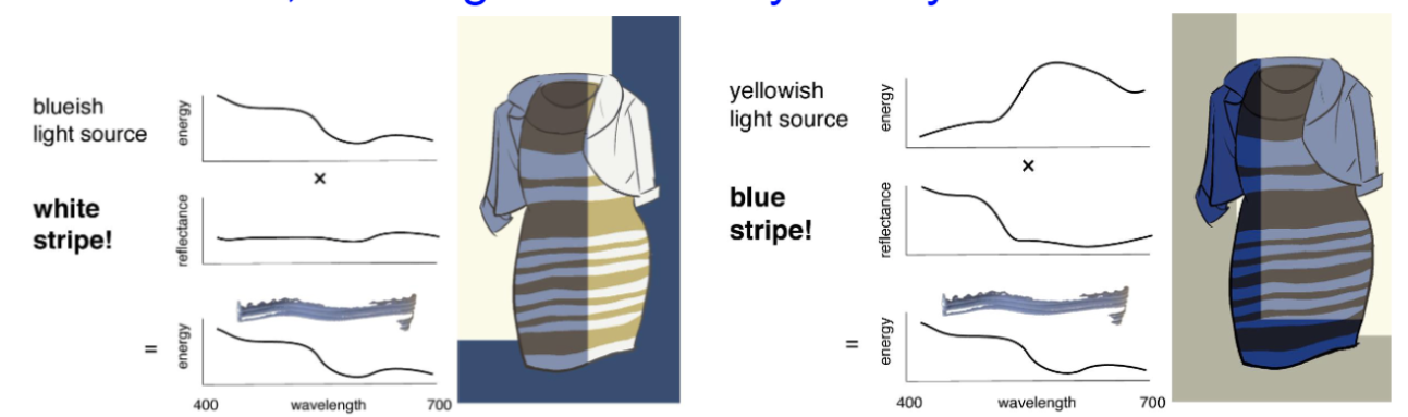 <p>Different mental reference used</p><p><span>Color Constancy with the light source. If the light source is more blue the brain infers the color is white, if the light source is yellow your brain assumes the dress is blue.</span></p>