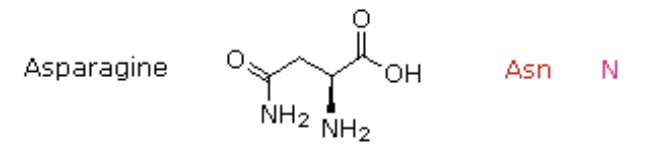 <p>Asn, N</p>