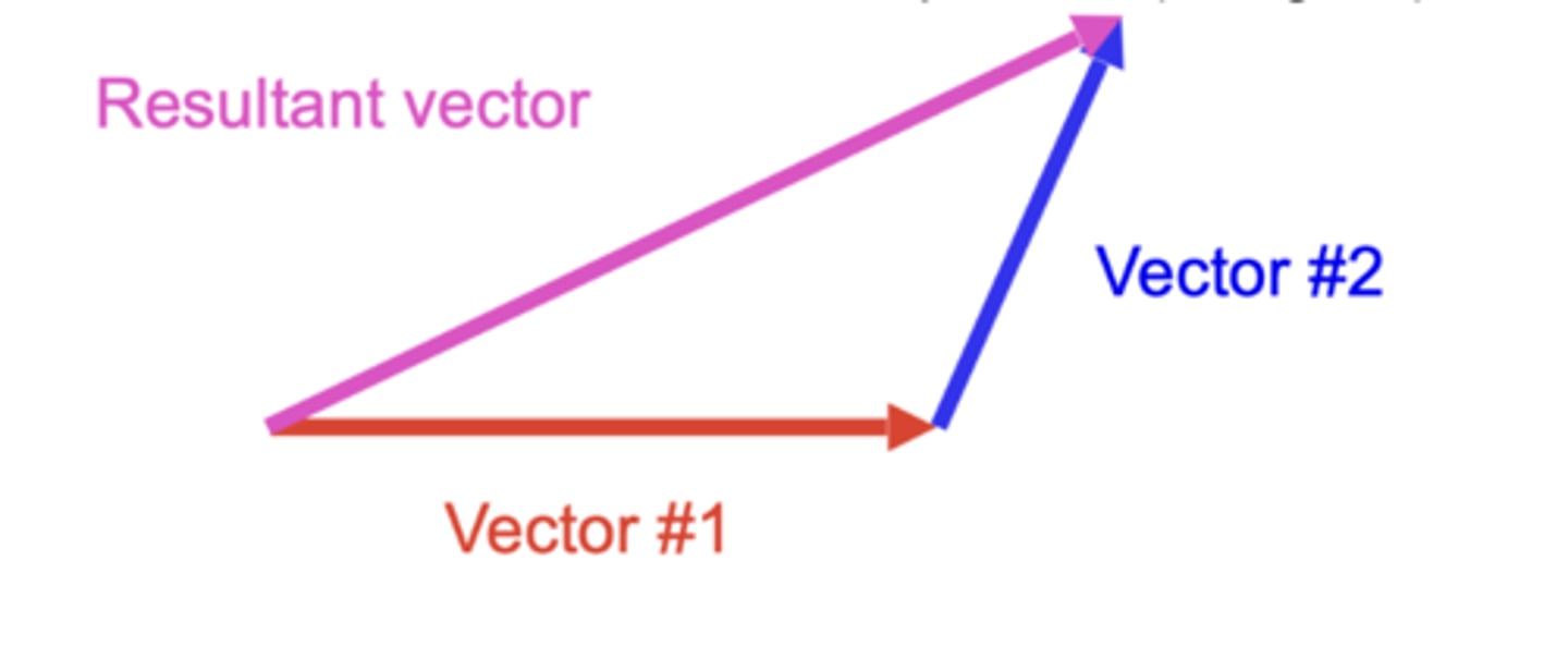<p>2+ vectors to create single vector</p><p>-tip to tail vector comp -&gt; resultant vector</p>
