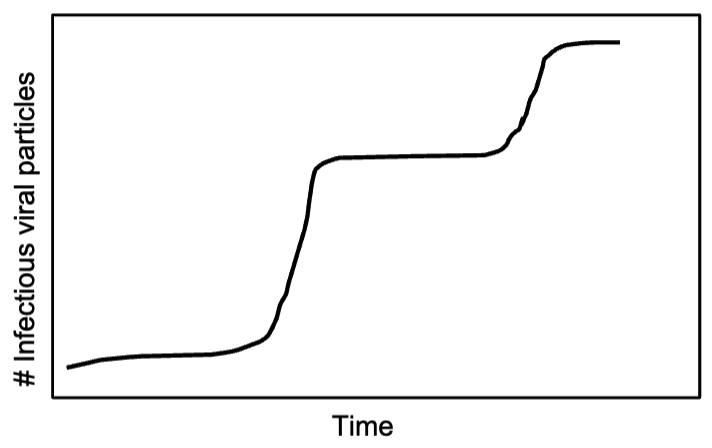 <p><span style="font-family: sans-serif">You are performing a growth</span><span><br></span><span style="font-family: sans-serif">characteristic experiments of a</span><span><br></span><span style="font-family: sans-serif">poliovirus strain with BHK cells. You</span><span><br></span><span style="font-family: sans-serif">have multi-well plates with 106 cells in</span><span><br></span><span style="font-family: sans-serif">each well. To obtain a growth curve like the one</span><span><br></span><span style="font-family: sans-serif">on the right figure, which of the</span><span><br></span><span style="font-family: sans-serif">following moi will you use to infect the</span><span><br></span><span style="font-family: sans-serif">cells?</span><span><br></span><span style="font-family: sans-serif">A. 0.01</span><span><br></span><span style="font-family: sans-serif">B. 10</span><span><br></span><span style="font-family: sans-serif">C. 100</span><span><br></span><span style="font-family: sans-serif">D. 1000</span></p>
