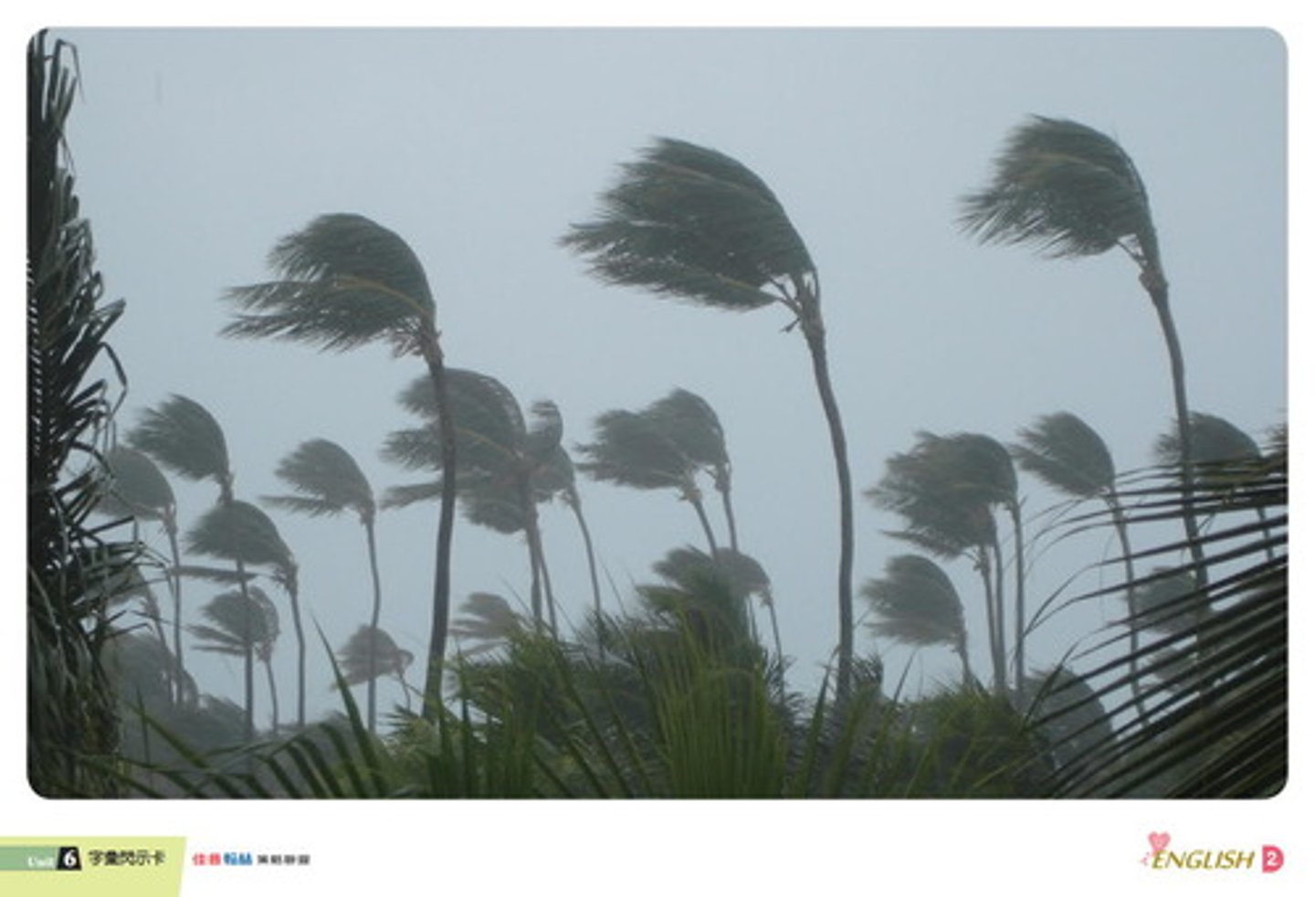 <p>windy (adj) gió / có gió</p>