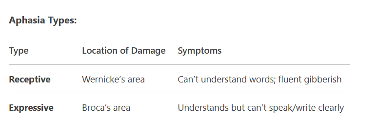 <p><strong>2 types:</strong></p><ul><li><p>Receptive</p><ul><li><p>Damage to Wernicke’s area</p></li><li><p>cannot understand spoken or visual information</p></li><li><p>fluent gibberish</p></li></ul></li><li><p>Expressive</p><ul><li><p>Damage to Broca’s area</p></li><li><p>understands, but cannot chose words properly, slow speech, or write clearly</p></li></ul></li></ul><p></p>