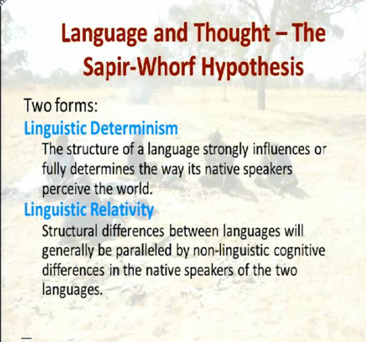 <p>The idea that language influences our thinking and so speakers of different languages will have different thought processes and behave differently. They will have a varied worldview as the language a person speaks affects how they perceive the world.</p>