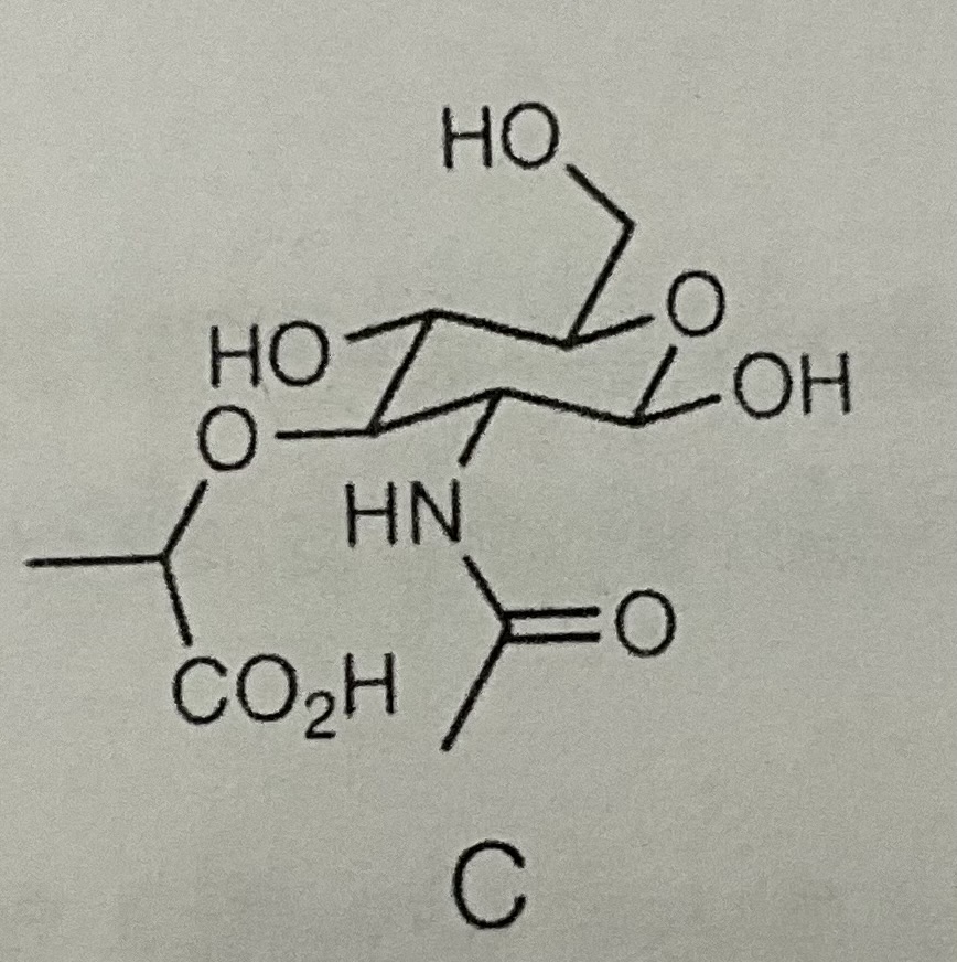 <p>N-acetylmuramic acid</p>