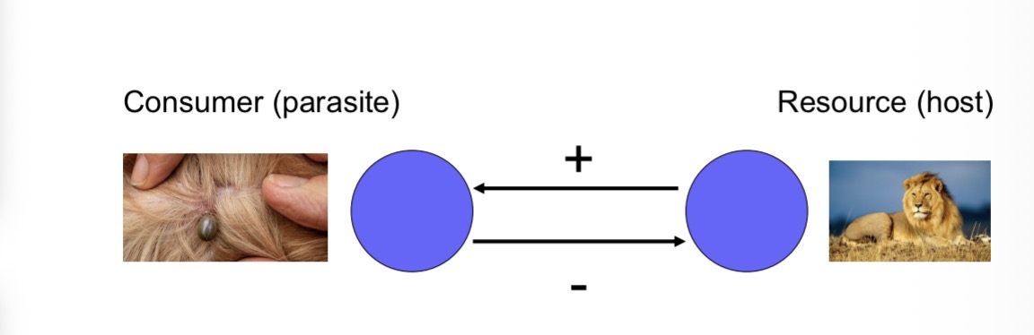 <p><span><span>As such, it is a +/- relationship: an increase in parasite abundance leads to a decrease in host abundance, while an increase in host abundance leads to an increase in parasite abundance.</span></span></p>