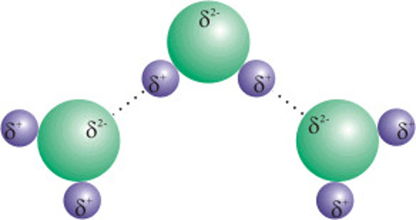 <p>Water molecules will form weak bonds between the positively charged hydrogen from one molecule and the negatively charged oxygen from another water molecule. The bonds formed between the water molecules is the reason for most of the properties of water!</p>