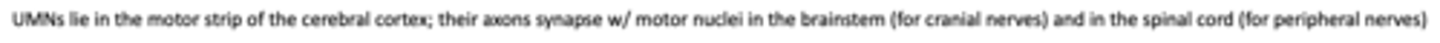 <p>____________ lie in the motor strip of the cerebral cortex. Their axons synapse with motor nuclei in the brainstem and spinal cord</p>