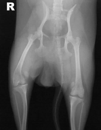 <p>What is this image showing? </p>