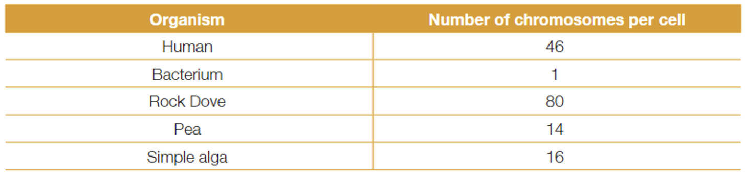 <p>Chromosomes <mark data-color="yellow">consist of</mark> several functional units of information known as <mark data-color="yellow">genes</mark>.</p><p>Each <mark data-color="yellow">gene contains a unique sequence</mark> of nitrogen bases on one strand of the DNA (the coding strand).</p><p><mark data-color="yellow">Hence, the sequence of bases varies</mark> from one DNA molecule to another, and it is this variation in the base code which enables DNA to be such a versatile and diverse molecule.</p><p>Different species have different characteristics, and therefore a different number of genes and chromosomes.</p><p>Different species on earth differ in:</p><ul><li><p>The number of chromosomes found in cells (and therefore, number of genes)</p></li><li><p>The base sequences of genes found in their DNA</p></li><li><p>The length of the DNA molecule, and hence the number of bases.</p></li></ul>