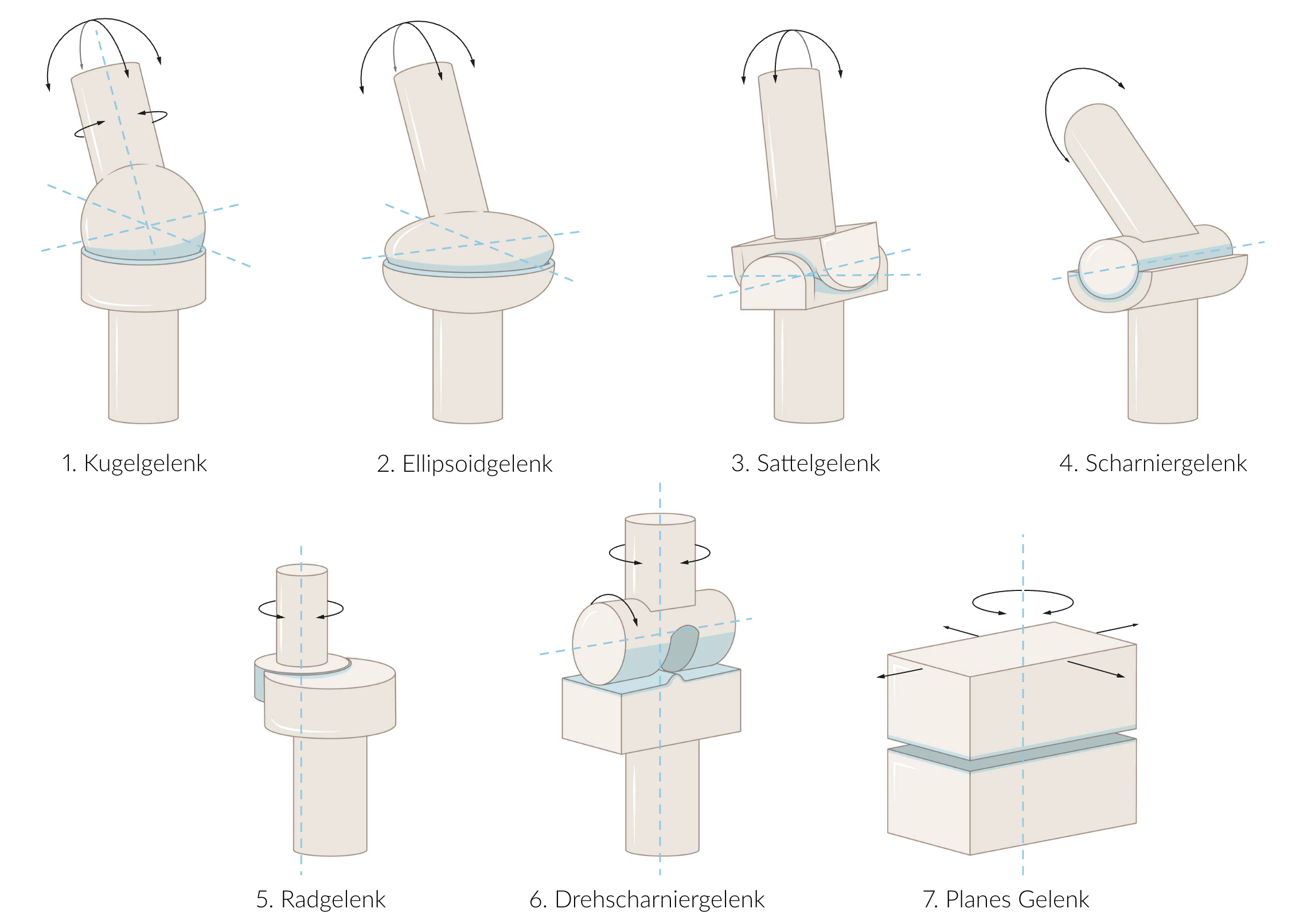 <p>B. The femorotibial joint is a hinge-pivot joint.</p>