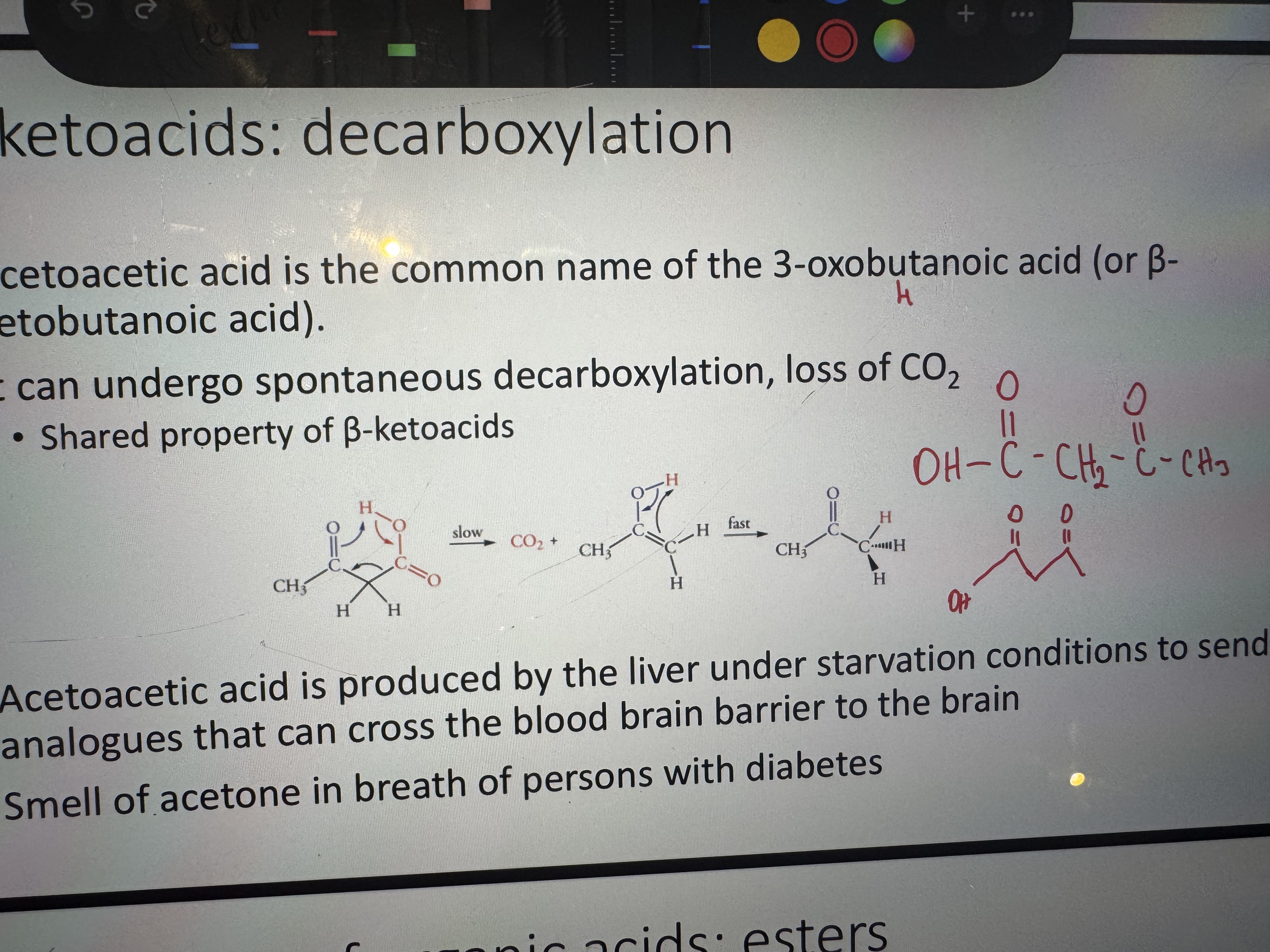 knowt flashcard image
