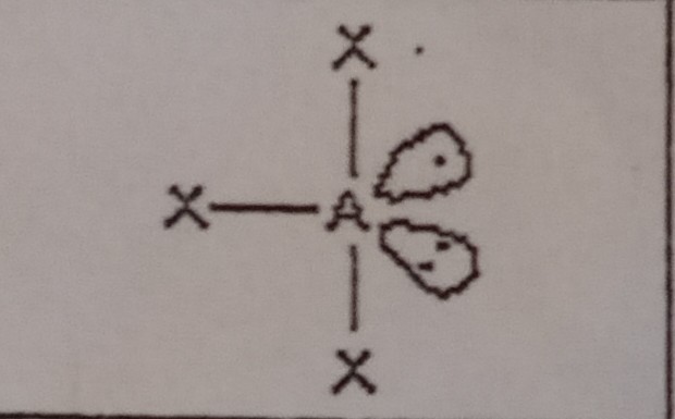 <p>What VSEPR shape has 3 bonding pairs and 2 lone pairs?</p>
