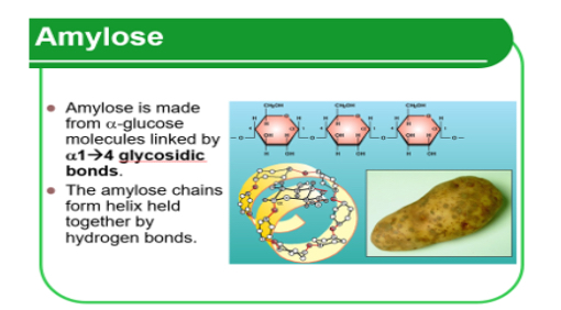 <p>1.Glucose.    2.Helix.  3.Compact.   4.glucose</p>