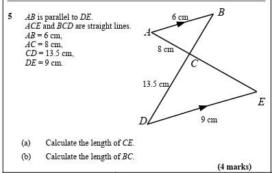 term image