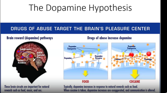 <p>Because it releases dopamine(craving) in our brain</p>