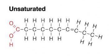 <ul><li><p>the healthy fat</p></li><li><p>has double bonds between carbons - creates kinks</p></li><li><p>liquid at room temp</p></li><li><p>mostly come from plants</p></li><li><p>the double bond fills in space that the lack of hydrogen atoms created</p></li></ul>
