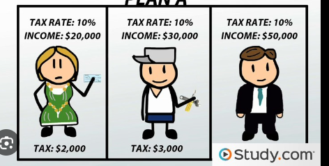<p>everyone pays the same percentage of their income in taxes no matter if you make a lot or a little in income.  </p>