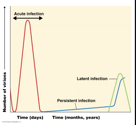 <p><span><span>&nbsp;</span></span>infections</p><ul><li><p><span style="font-family: &quot;ADLaM Display&quot;;"><span>Acute</span></span></p></li></ul><p></p>