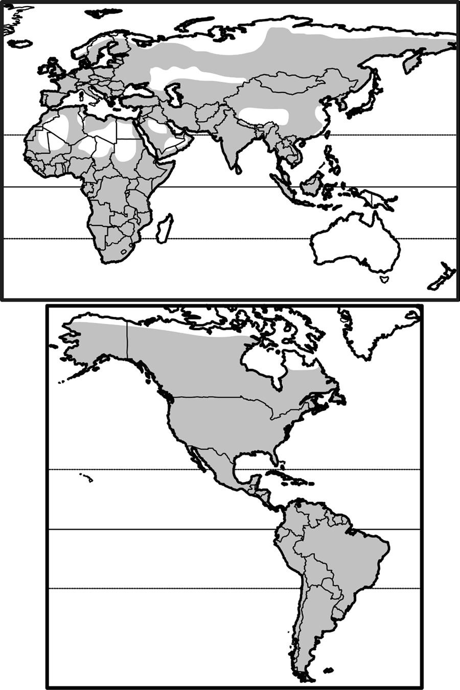 every continent except australia and antarctica; absent from greenland, madagascar, new guinea, new zealand; domestic cat widely introduced