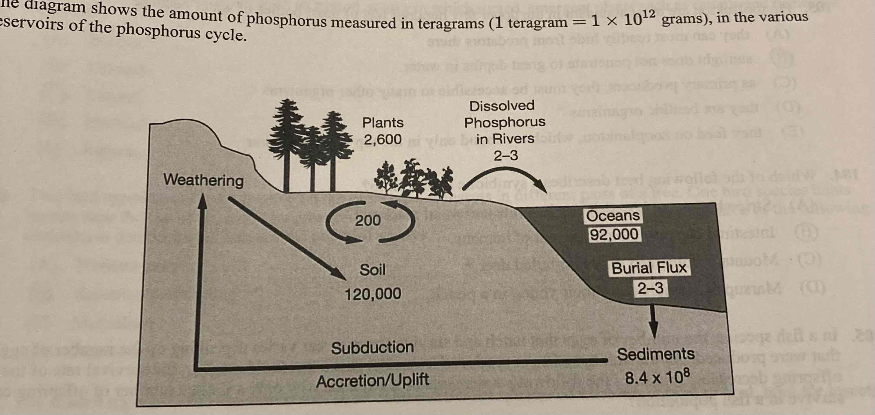 <p>According to the diagram, the movement of phosphorus between biological organisms and soil is in a steady state in an undisturbed system. Which of the following best explains the reason for the steady movement?</p>