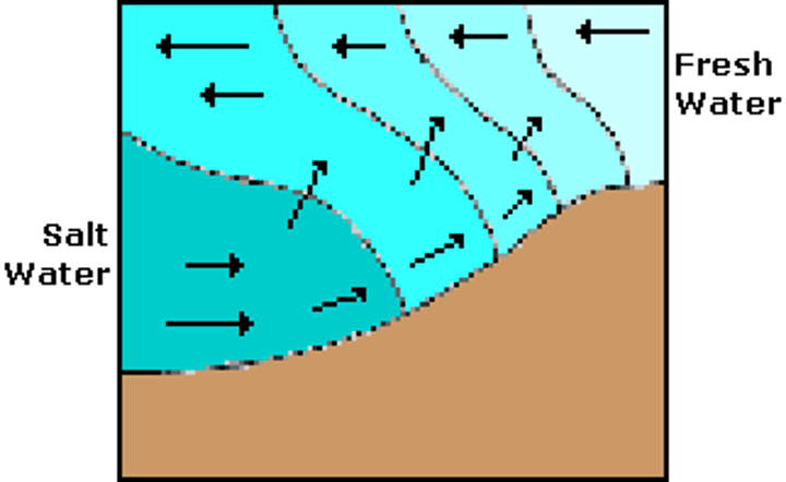 <p>an influx of seawater occurs beneath a surface layer of fresh water flowing seaward. Mixing occurs along the junction.</p>
