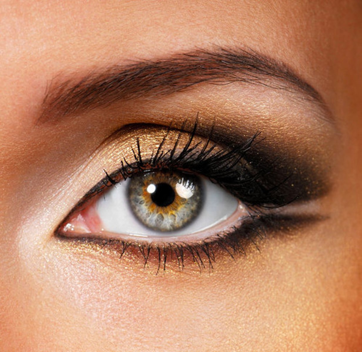 <p>an eye</p>