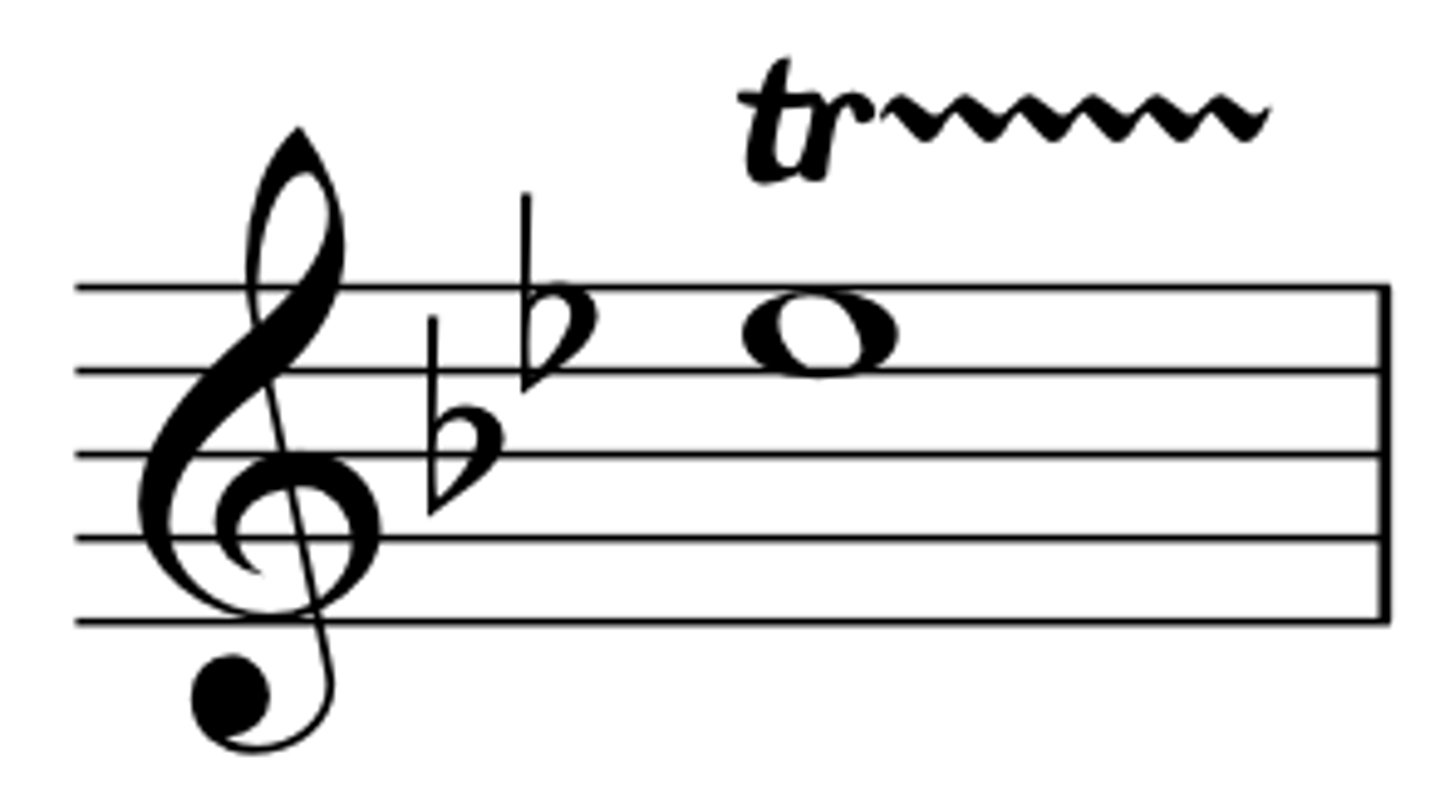 <p>a rapid alternation between two notes</p>