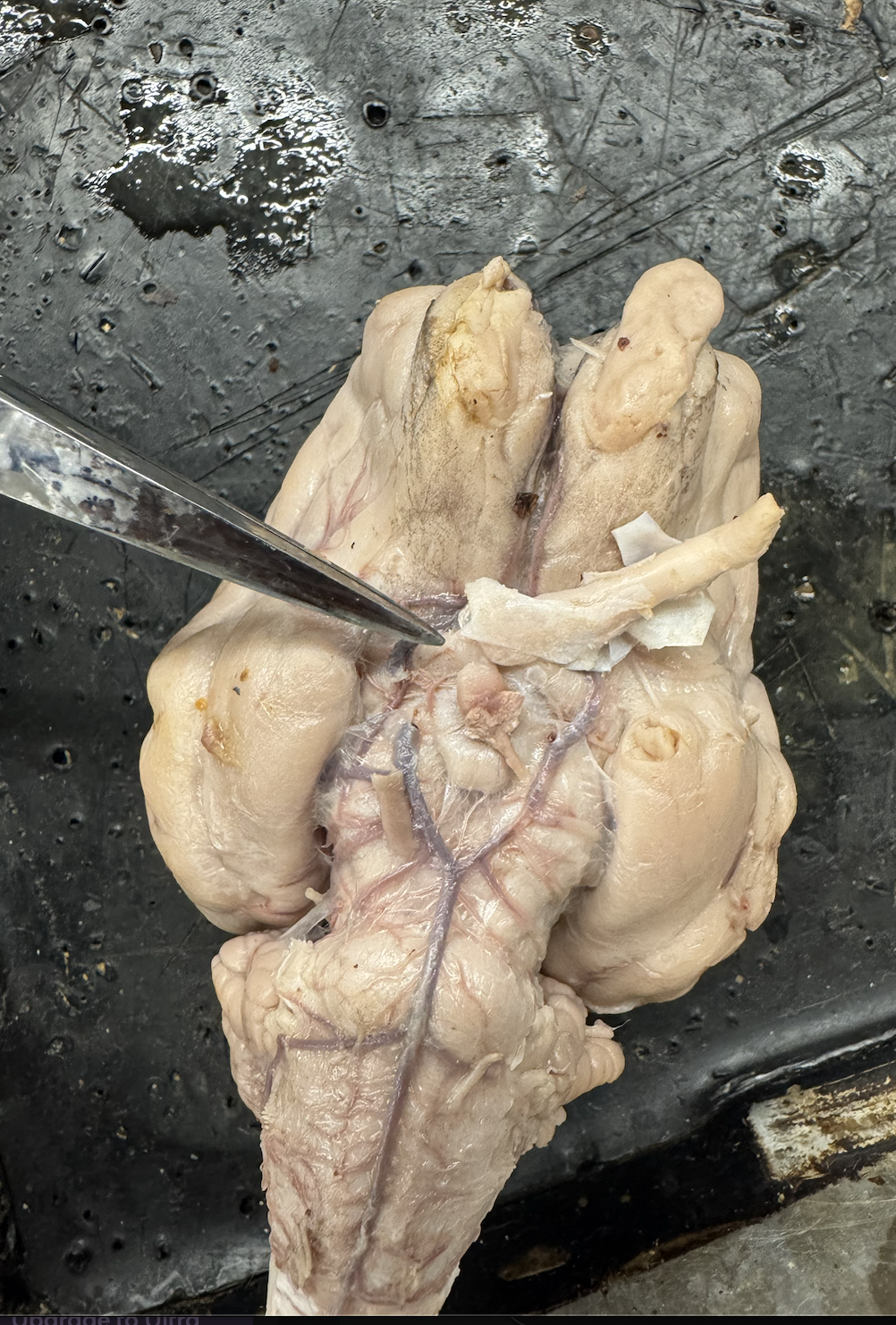 <p>what is the name of this tract?</p>