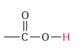 <p>carboxylic acid </p>