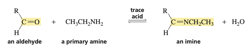 <p>primary amine (H2NR) and trace acid </p>