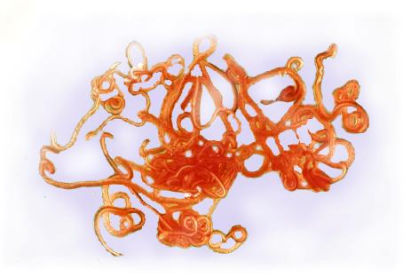 <p>Esophageal worm - "Coiled tail"</p><ul><li><p>Found: In tropical regions, sometimes Southern U.S.</p></li><li><p>Affects: Cats and dogs</p></li><li><p>Paperclip shaped egg; bright red/pink 3-7cm adult worms</p></li><li><p>Cause of infection: swallowing eggs</p></li><li><p>Found in fecal flotation or vomit</p></li><li><p>Causes nodules or granulomas in esophagus or stomach</p></li><li><p>Symptoms: trouble swallowing, regurgitation, hypersalivation</p></li><li><p>Prepatent period: 6 months</p></li></ul><p></p>