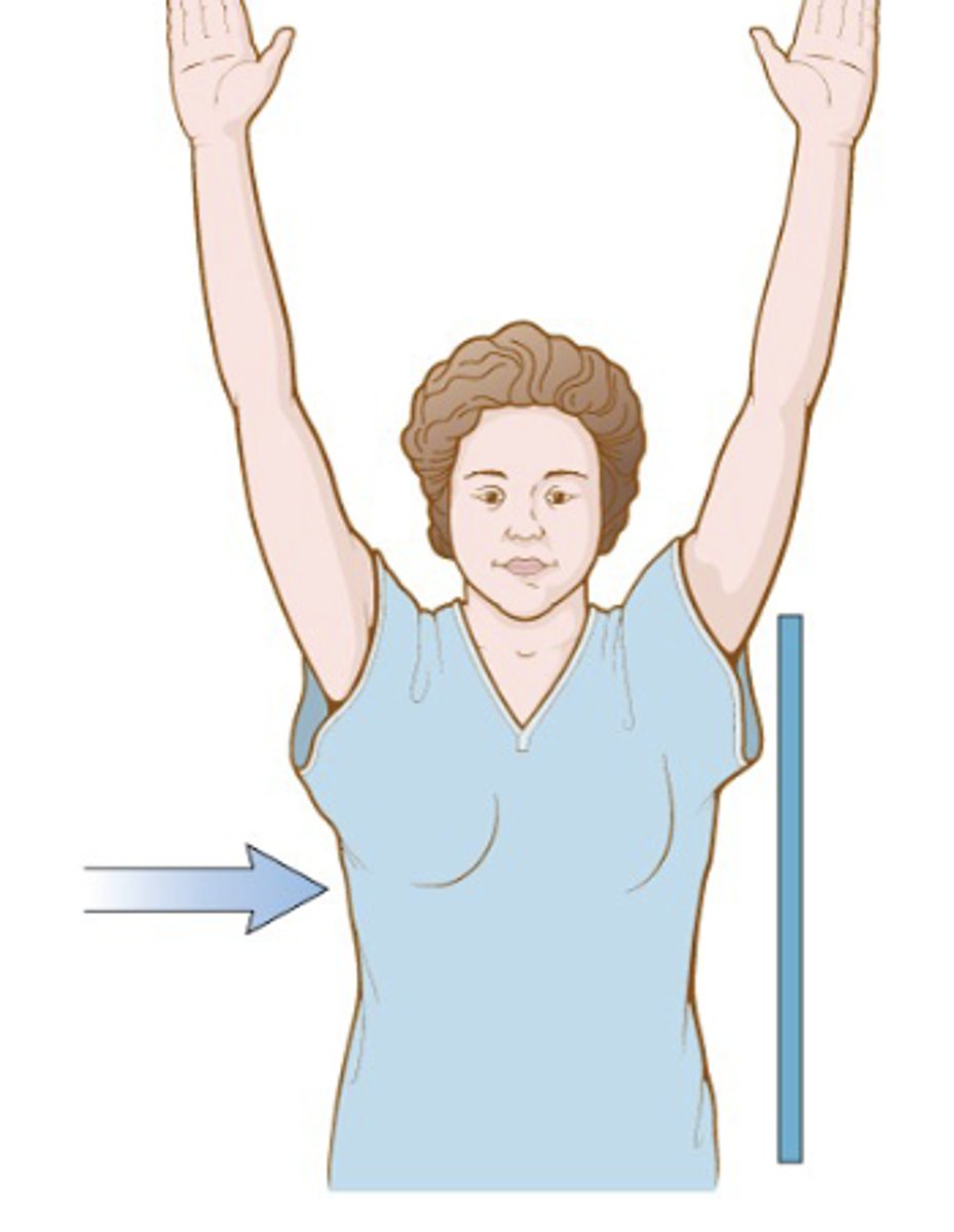 <p>in left view it is the source at right of patient to detector at left of patient</p>