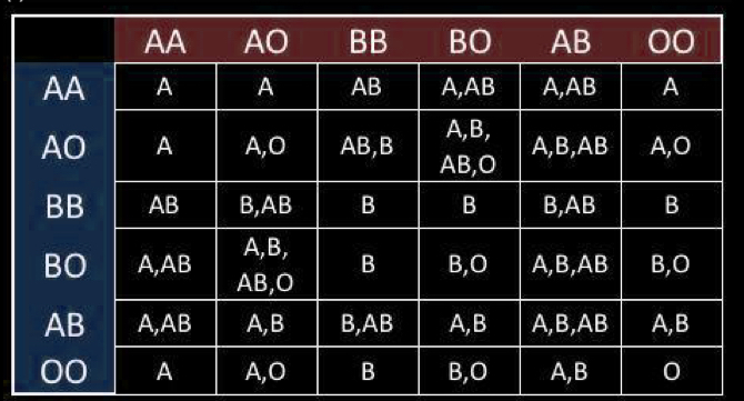 <p>blood type is controlled by 3 alleles (ABO)</p><ul><li><p>not a polygenic trait</p><ul><li><p>even though there’s 3 possible alleles (ABO), you can only inherit 2 out of those 3, one from each parents</p></li></ul></li></ul><ul><li><p>A and B are codominant</p></li><li><p>O is recessive</p></li><li><p>O is only expressed in homozygotes</p></li><li><p>AB heterozygotes - both A ad B antigens are expressed</p></li></ul><p></p>
