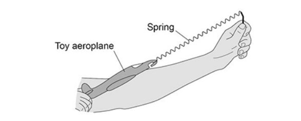 <p>The figure below shows a student launching a toy aeroplane. </p><p>To launch the aeroplane, the student pulls on it to stretch the spring and then releases it.</p><p>Complete the sentence. </p><p>As the aeroplane moves upwards through the air there is a decrease in the ____________________<br>energy of the aeroplane.</p>