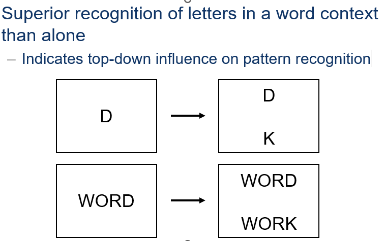 <ul><li><p><span>The core finding is that it is easier to identify a letter if it is within a word (like "K" in "WORK") compared to a single, isolated letter ("K") or a non-word string (like "XOWK").</span><span><span> </span></span></p></li><li><p></p></li></ul><p><br></p>