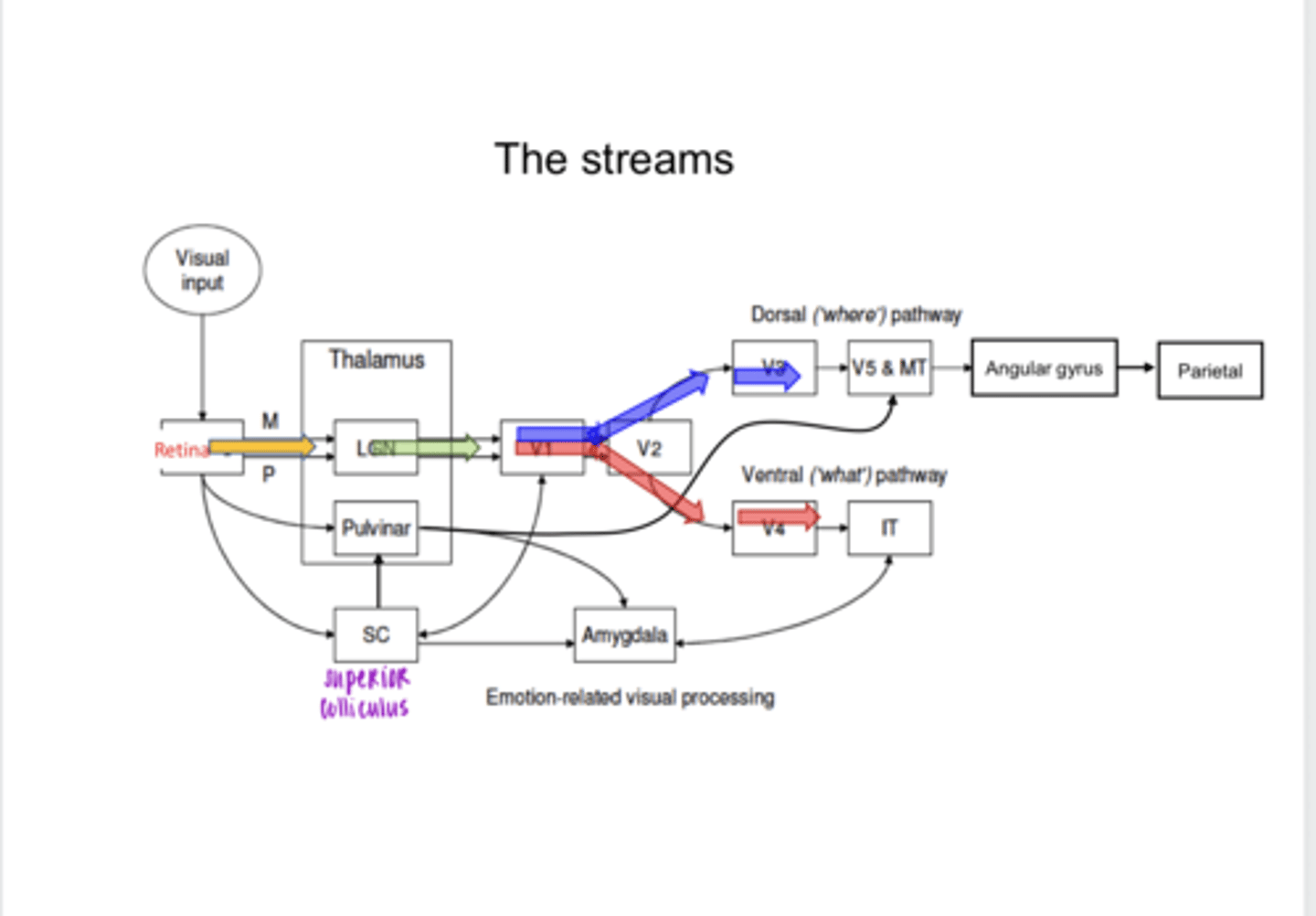 <p>The Streams (Pic)</p>